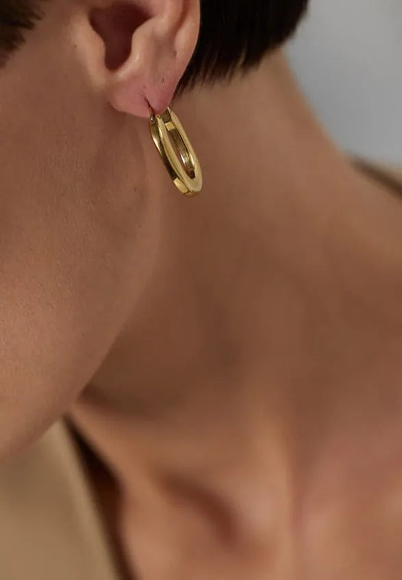 Gold plated elegant hinge back earrings