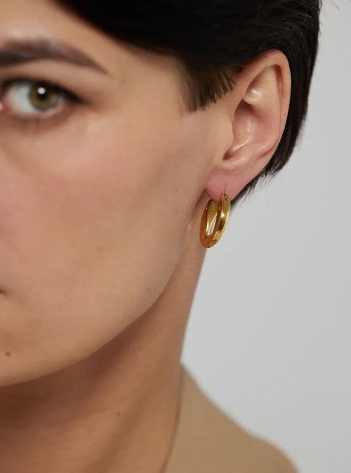 Gold plated elegant hinge back earrings